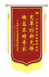 白云電氣集團(tuán)贈(zèng)送正睿咨詢變革創(chuàng)新先鋒，精益求精專(zhuān)家錦旗