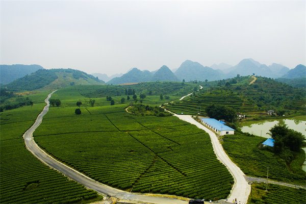 清遠(yuǎn)年度經(jīng)營(yíng)計(jì)劃咨詢公司如何助企業(yè)精準(zhǔn)規(guī)劃？