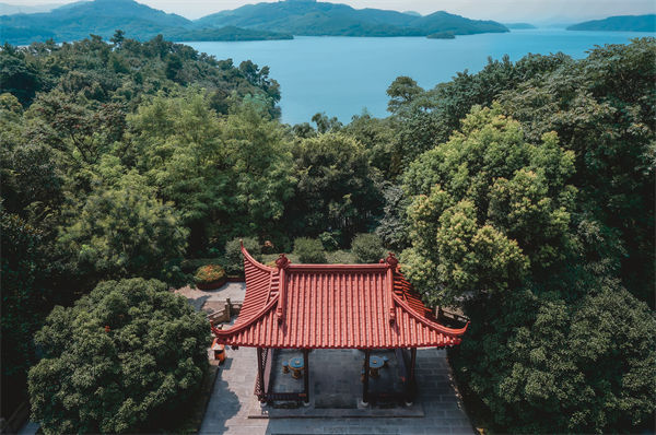 常州戰(zhàn)略咨詢公司如何精準(zhǔn)把握市場趨勢？