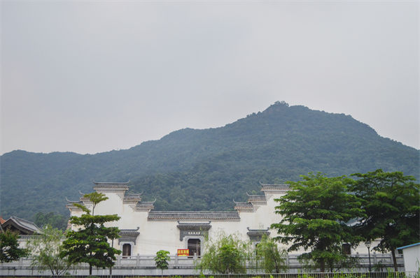 佛山組織規(guī)劃咨詢公司如何優(yōu)化企業(yè)人才梯隊建設？