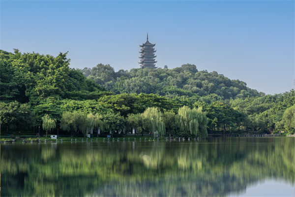 如何評估佛山集團管控咨詢公司的服務質量和效果？
