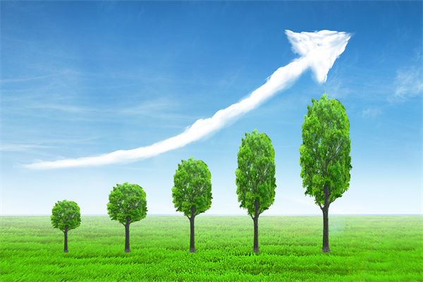 植樹就是植未來，對企業(yè)的戰(zhàn)略規(guī)劃有哪些啟示？