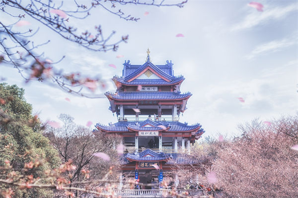 供應(yīng)鏈成本居高不下，無錫供應(yīng)鏈咨詢公司如何精準(zhǔn)砍出利潤空間？
