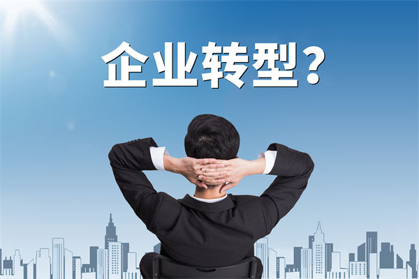 企業(yè)轉(zhuǎn)型無方向，數(shù)智化咨詢公司能否指引明路？