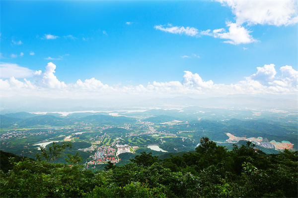 企業(yè)戰(zhàn)略飄在半空落地難，惠州戰(zhàn)略咨詢公司能錨定方向嗎？